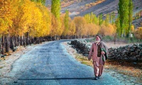 Ghazar 44 Pakistan